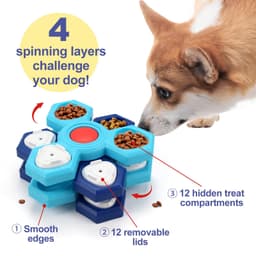 image-4 Layers Slow Feeder Puzzle Dog Bowls Assemble Slow Eating Bowl For Dogs Non-slip Interactive Dog Puzzle Game Slow Bowl Pet Products