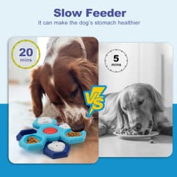 image-4 Layers Slow Feeder Puzzle Dog Bowls Assemble Slow Eating Bowl For Dogs Non-slip Interactive Dog Puzzle Game Slow Bowl Pet Products