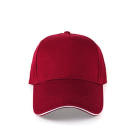 image-Hat Custom Embroidery Printing Caps Work Advertising Caps Men And Women Diy Children's Team Baseball Caps