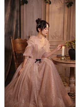 image-Host Elegant Atmosphere Banquet Dress Star Dress