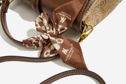 image-Women's Retro Embossing Silk Scarf Handbag