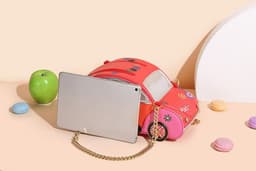 image-Female Portable Car Chain Bag