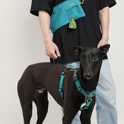 image-Portable Outdoor Dog Walking Bag Portable
