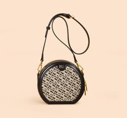 image-Presbyopic Korean Style Round Girls High Sense Niche Phone Crossbody Bag