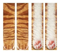 image-3D Animal Paw Socks Cute Cat Claws Socks Unisex Long Socks