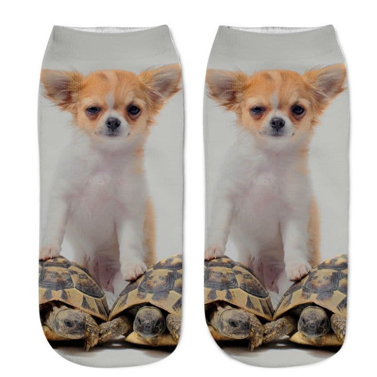 image-Popular Funny Unisex Short Socks 3D Cat Printed Anklet Socks Casual Socks