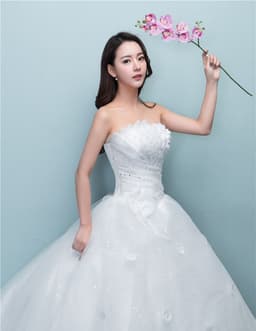 image-Aliexpress wedding bride wedding dress new large tail size wedding dress factory wholesale TH52