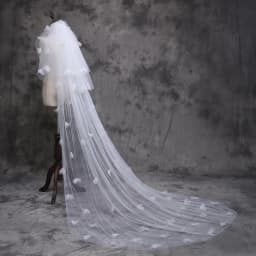 image-Bridal gown wedding veil