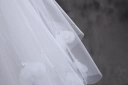 image-Bridal gown wedding veil