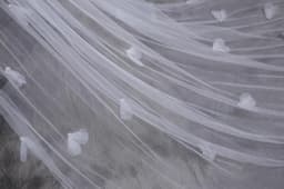 image-Bridal gown wedding veil