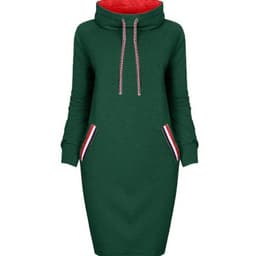 image-Autumn winter dress Long sleeve vestidos Casual party dresses vestido de festa women dress plus size High collar robe femme