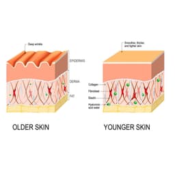 image-Anti-wrinkle Fine Line-fading Lifting And Firming Skin Care