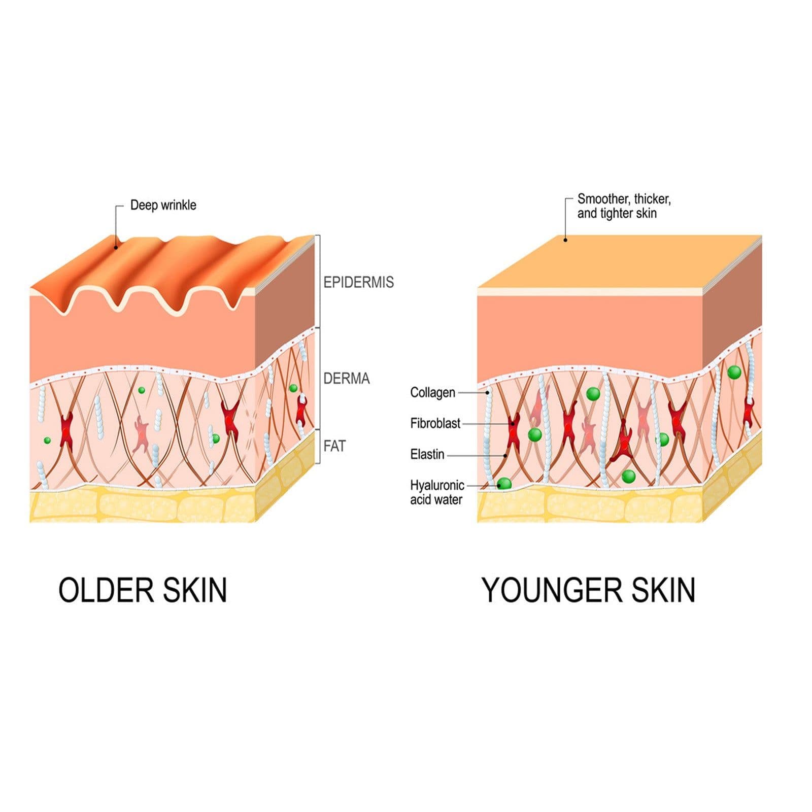 image-Anti-wrinkle Fine Line-fading Lifting And Firming Skin Care