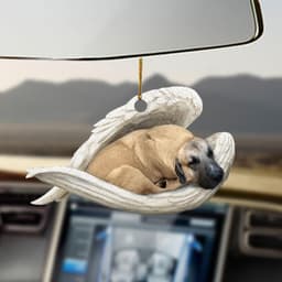image-Car Pendant Sleeping Dog Angel Home Decor Acrylic Showcase Hanging Ornaments For Doors