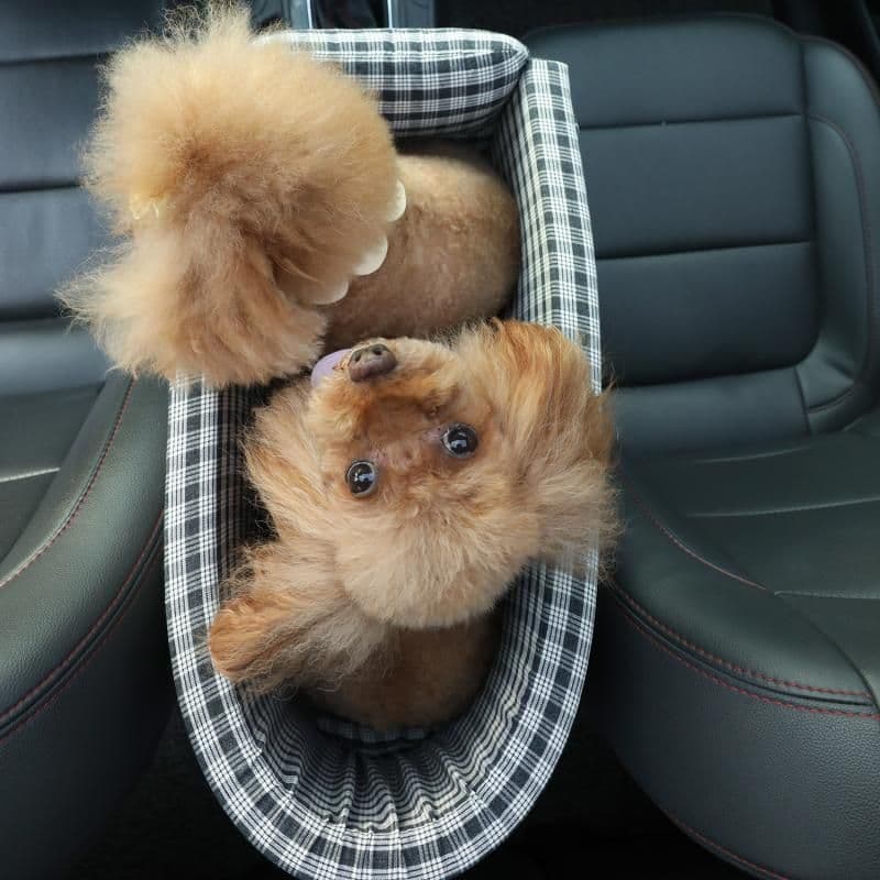 image-Portable Pet Dog Car Seat Central Control Nonslip Dog Carriers Safe Car Armrest Box Booster Kennel Bed For Small Cat Dog Travel