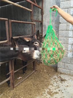 image-Forage Pocket Feeding Horse Bag Haystack Bag Grass Net Pocket Horse Feed Bag