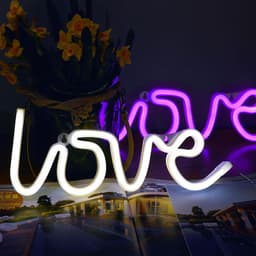 image-Led Neon Sign Light SMD2835 Indoor Night light Love Pink Blue Green Red Model Holiday Xmas Party Wedding Decorations Table Lamps
