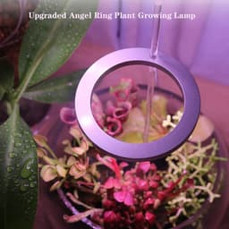 image-LED Grow Light Full Spectrum Angel Ring Phyto Grow Lamp USB Phytolamp For Plants 5V Lamp Indoor Flower Greenhouse Plant Seedling