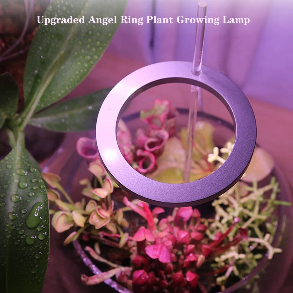 image-LED Grow Light Full Spectrum Angel Ring Phyto Grow Lamp USB Phytolamp For Plants 5V Lamp Indoor Flower Greenhouse Plant Seedling