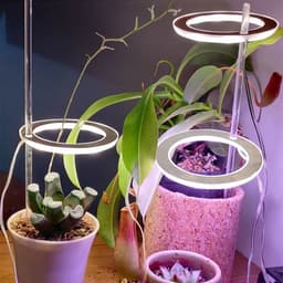 image-LED Grow Light Full Spectrum Angel Ring Phyto Grow Lamp USB Phytolamp For Plants 5V Lamp Indoor Flower Greenhouse Plant Seedling
