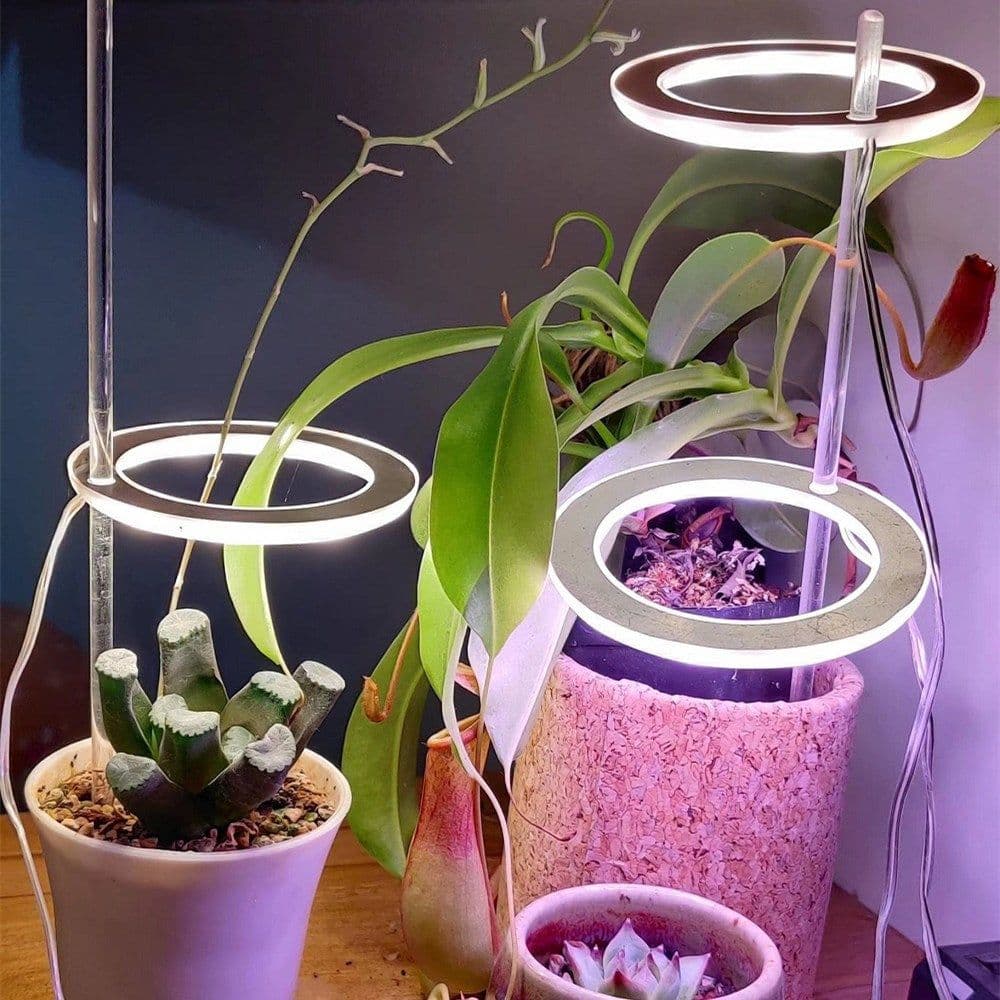image-LED Grow Light Full Spectrum Angel Ring Phyto Grow Lamp USB Phytolamp For Plants 5V Lamp Indoor Flower Greenhouse Plant Seedling