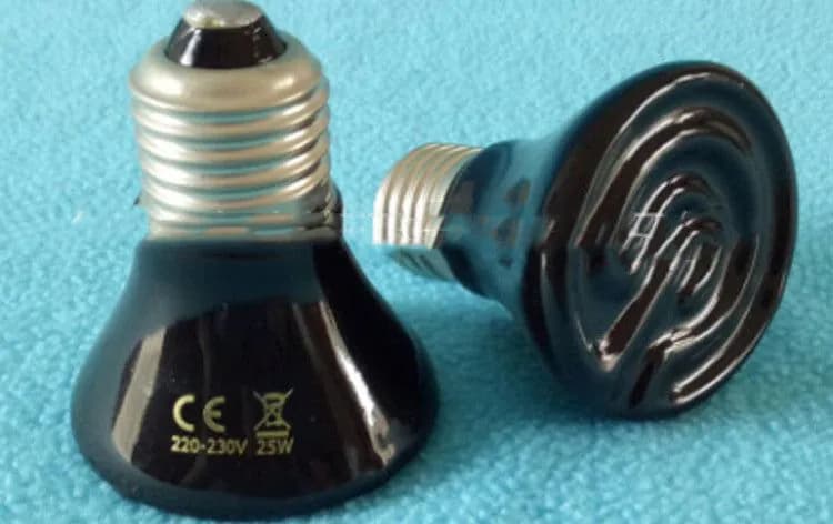 image-Reptile Ceramic Heating Lamp Tortoise