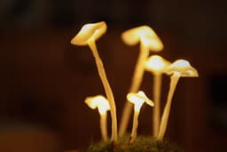 image-Original Cute Retro Mushroom Night Light Diy Material Package Decoration Birthday Gift