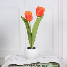 image-LED Tulip Flower Night Light Artificial Flowerpot Potted Plant Landscape Table Lamp Home Bedroom Living Room Decoration Gift