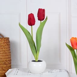 image-LED Tulip Flower Night Light Artificial Flowerpot Potted Plant Landscape Table Lamp Home Bedroom Living Room Decoration Gift