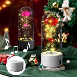 image-Creative 2 In 1 Rose Flowers LED Light And Bluetooth Speaker Valentine's Day Gift Rose Luminous Night Light Ornament In Glass Cover