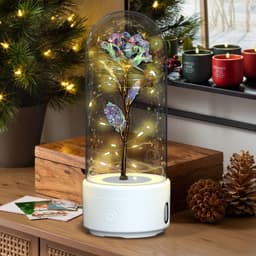 image-Creative 2 In 1 Rose Flowers LED Light And Bluetooth Speaker Valentine's Day Gift Rose Luminous Night Light Ornament In Glass Cover