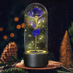 image-Creative 2 In 1 Rose Flowers LED Light And Bluetooth Speaker Valentine's Day Gift Rose Luminous Night Light Ornament In Glass Cover
