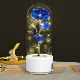 image-Creative 2 In 1 Rose Flowers LED Light And Bluetooth Speaker Valentine's Day Gift Rose Luminous Night Light Ornament In Glass Cover