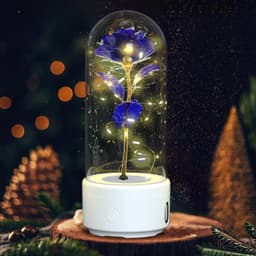 image-Creative 2 In 1 Rose Flowers LED Light And Bluetooth Speaker Valentine's Day Gift Rose Luminous Night Light Ornament In Glass Cover