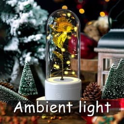 image-Creative 2 In 1 Rose Flowers LED Light And Bluetooth Speaker Valentine's Day Gift Rose Luminous Night Light Ornament In Glass Cover