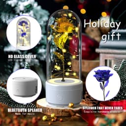image-Creative 2 In 1 Rose Flowers LED Light And Bluetooth Speaker Valentine's Day Gift Rose Luminous Night Light Ornament In Glass Cover