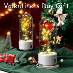 image-Creative 2 In 1 Rose Flowers LED Light And Bluetooth Speaker Valentine's Day Gift Rose Luminous Night Light Ornament In Glass Cover