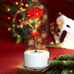 image-Creative 2 In 1 Rose Flowers LED Light And Bluetooth Speaker Valentine's Day Gift Rose Luminous Night Light Ornament In Glass Cover