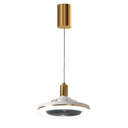 image-Restaurant Bar Modern Simple Small Ceiling Fan Light