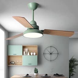image-Nordic Ceiling Fan Lights Children's Quiet Chandelier Dining Room