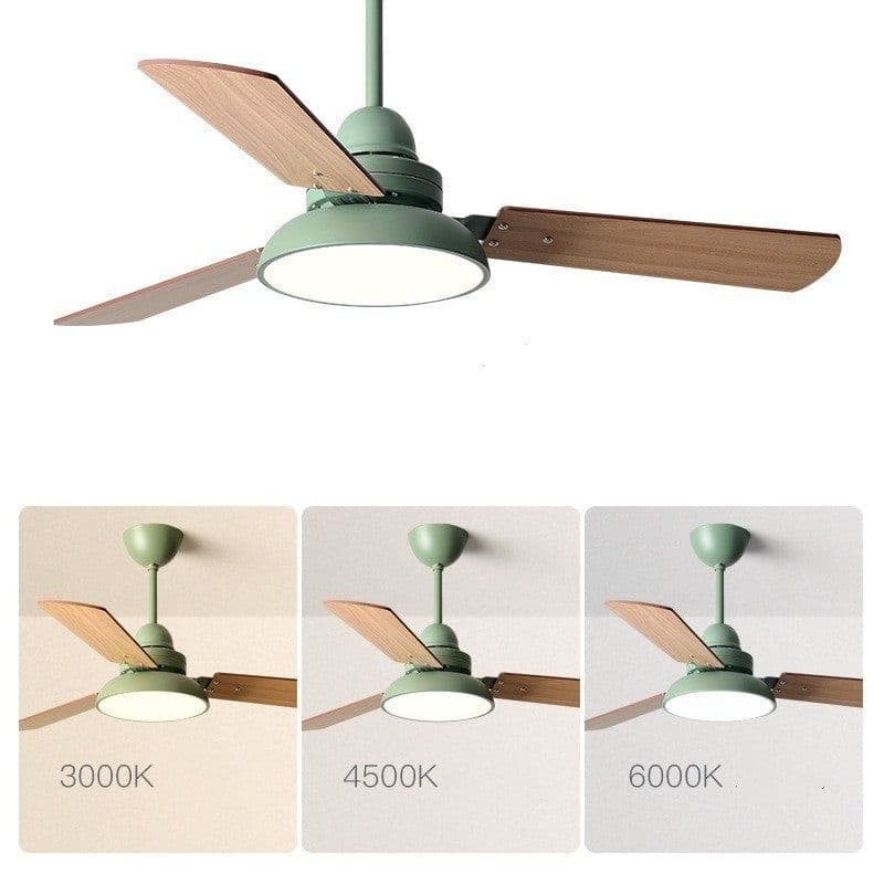 image-Nordic Ceiling Fan Lights Children's Quiet Chandelier Dining Room