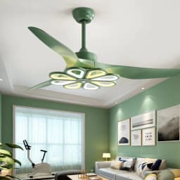 image-Nordic Modern Simple Frequency Conversion Ceiling Fan Light