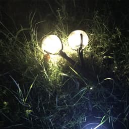 image-New Outdoor Solar Lawn Light, Creative Magic Ball, Home Garden Light, Garden Decoration Light, Street Light