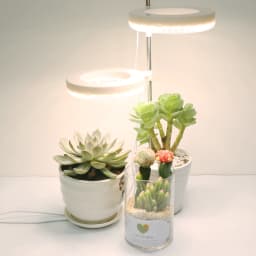 image-Home Office Desk Flower And Plant Growth Lamp