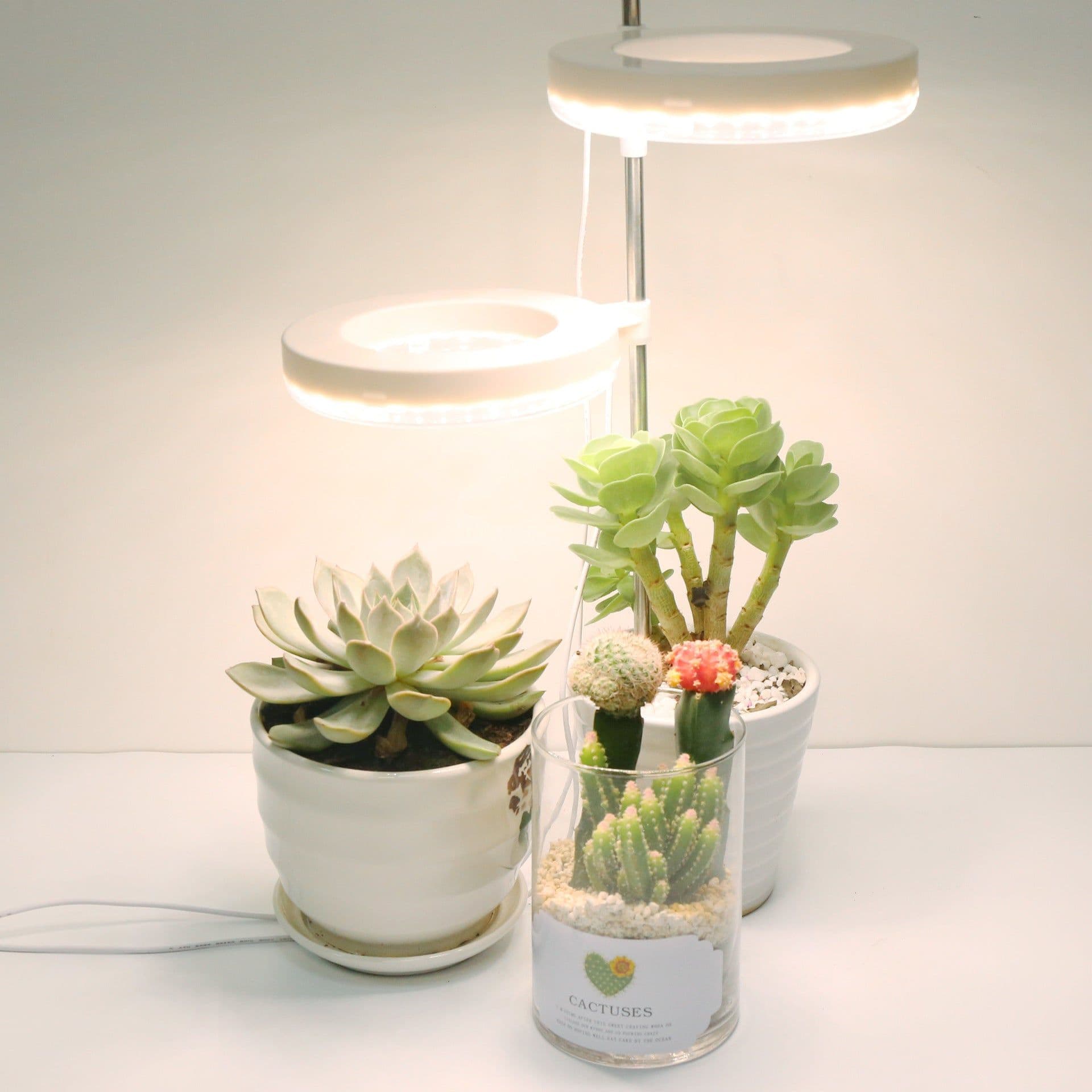 image-Home Office Desk Flower And Plant Growth Lamp
