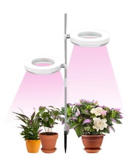 image-Home Office Desk Flower And Plant Growth Lamp