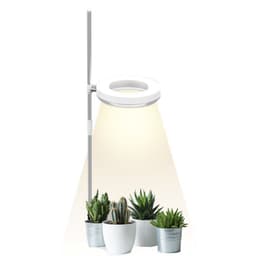 image-Home Office Desk Flower And Plant Growth Lamp