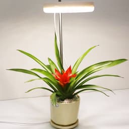 image-Home Office Desk Flower And Plant Growth Lamp