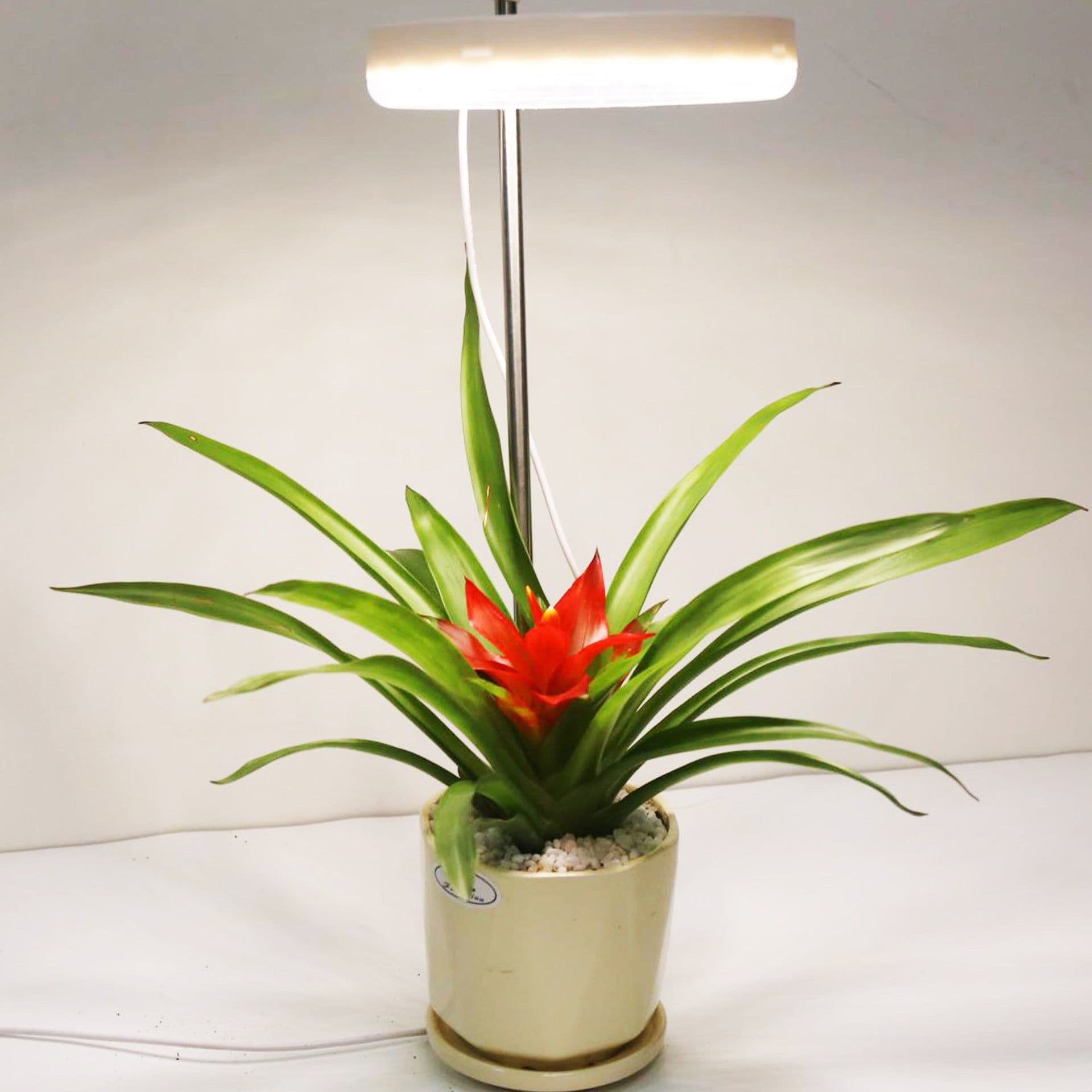 image-Home Office Desk Flower And Plant Growth Lamp