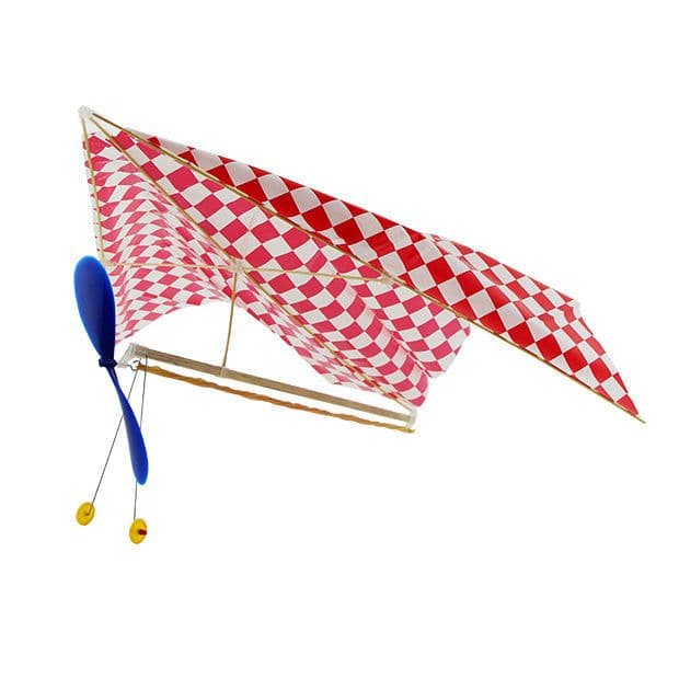 image-Double - wing rubber - powered aircraft